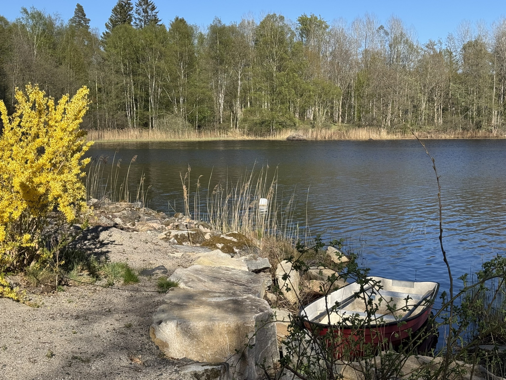 Ruderboot am Rågebodasjön